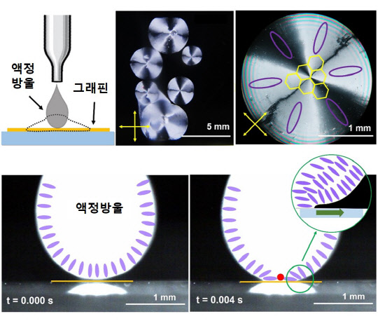 그래핀 위에 액정을 떨어뜨려 접촉방향에서 가장 가까운 그래핀의 배열 방향으로 배열이 되는 모습. 연구재단 제공
